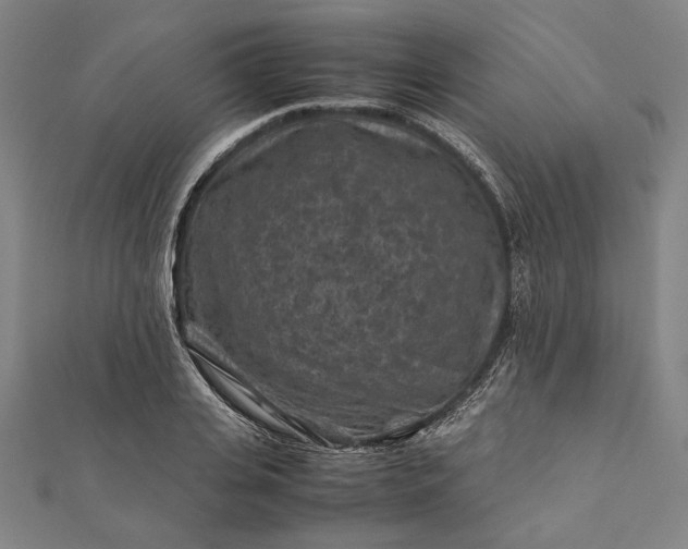 X0000112170935200908211423