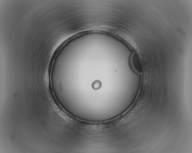 X0000112170936200908211423