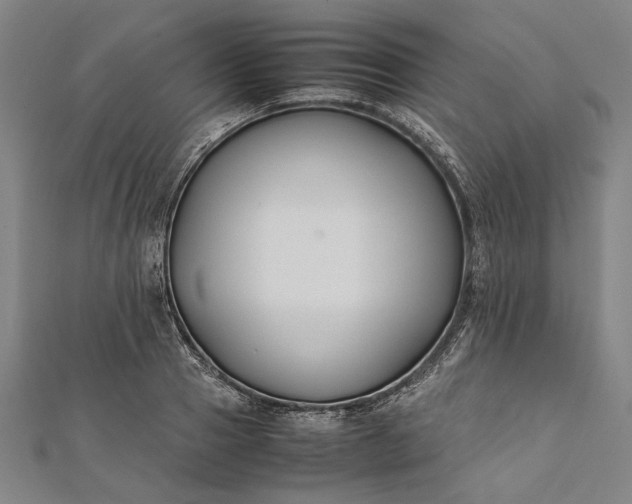 X0000112170937200908211423