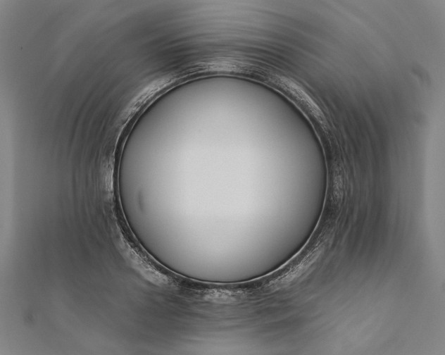 X0000112170938200908211423