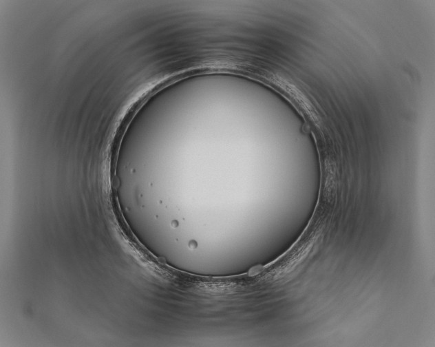 X0000112170939200908211423