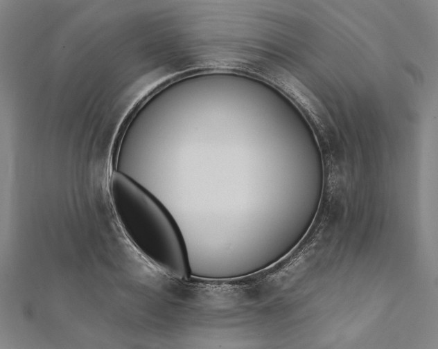 X0000112170940200908211423