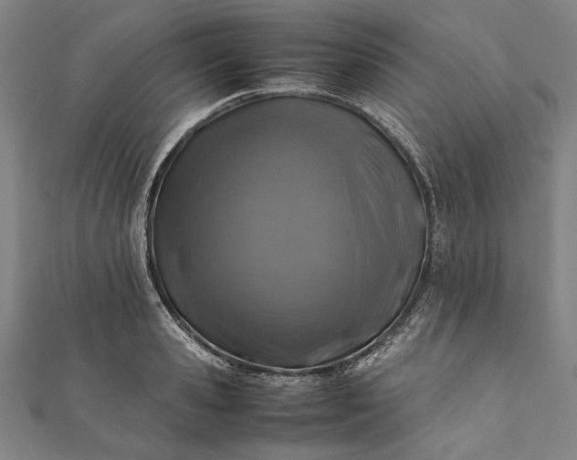 X0000112170941200908211423