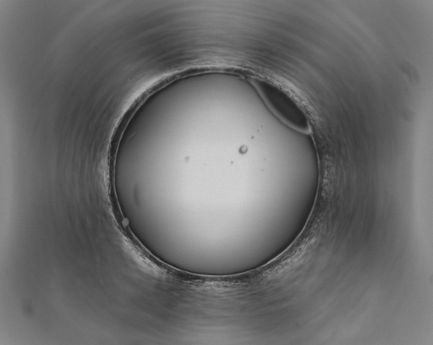 X0000112170942200908211423