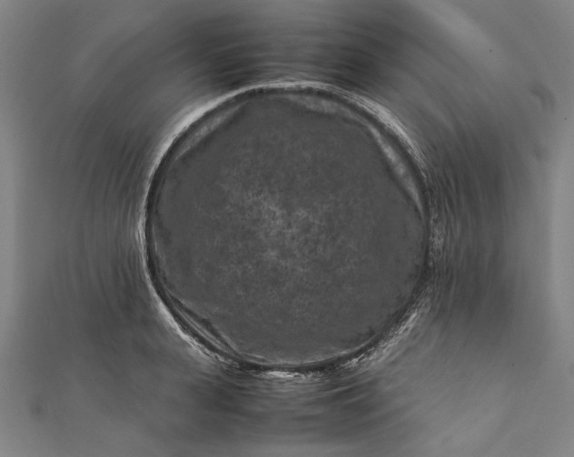 X0000112170943200908211423