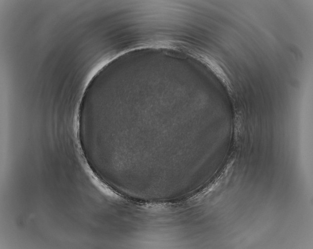 X0000112170944200908211423