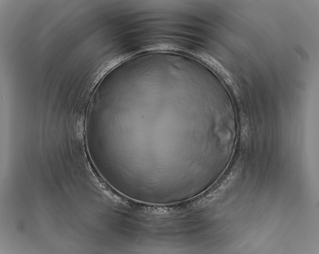 X0000112170945200908211423