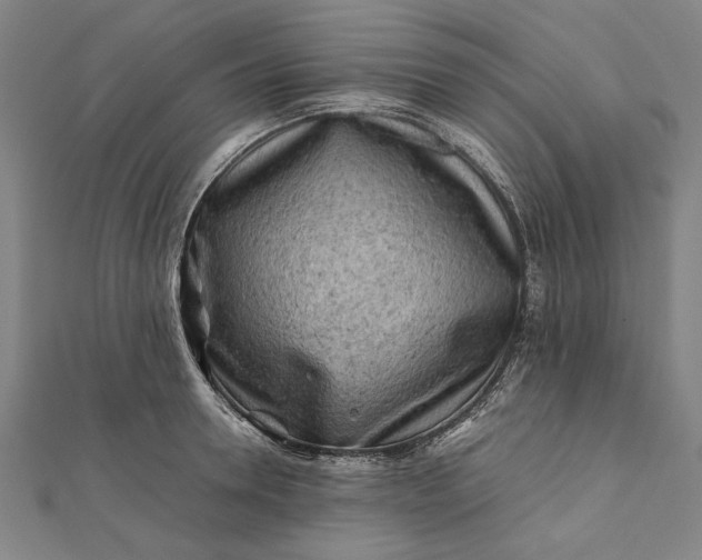 X0000112170946200908211423