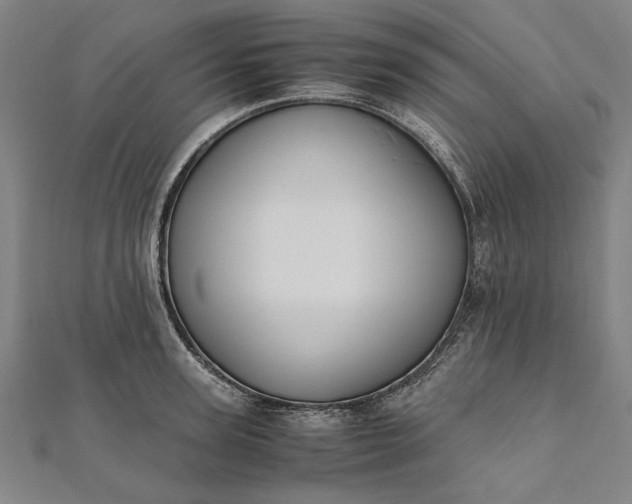 X0000112170947200908211423