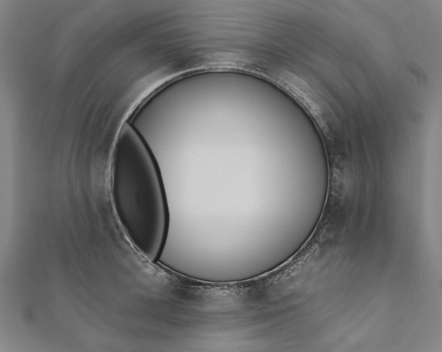 X0000112170948200908211423