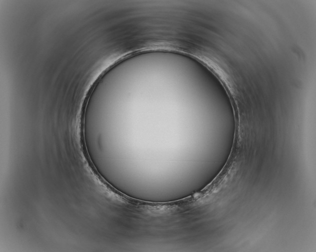 X0000112170949200908211423