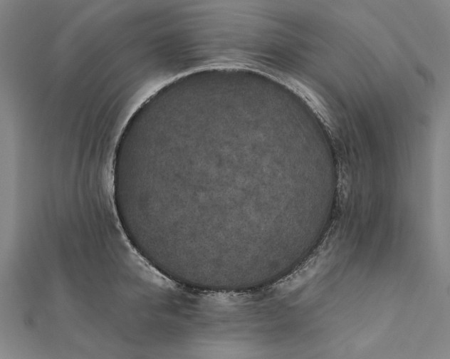 X0000112170950200908211423