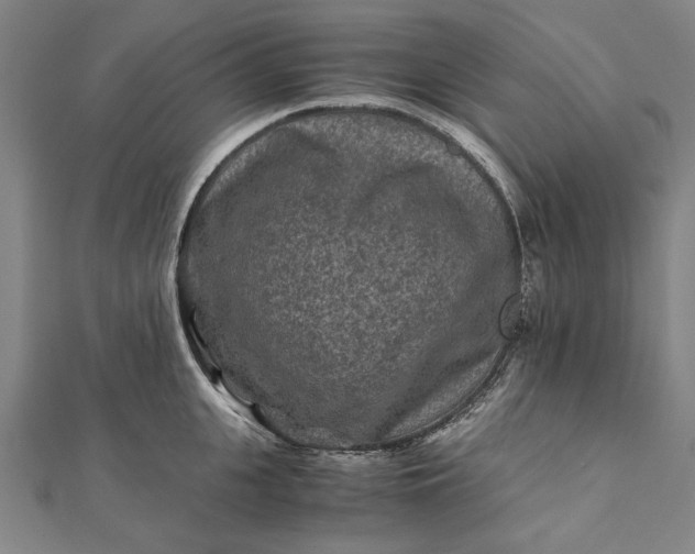 X0000112170951200908211423