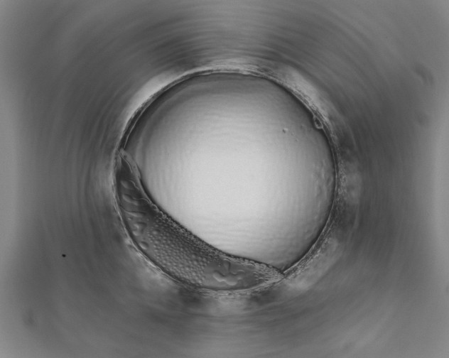 X0000112170952200908211423