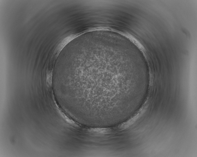 X0000112170953200908211423