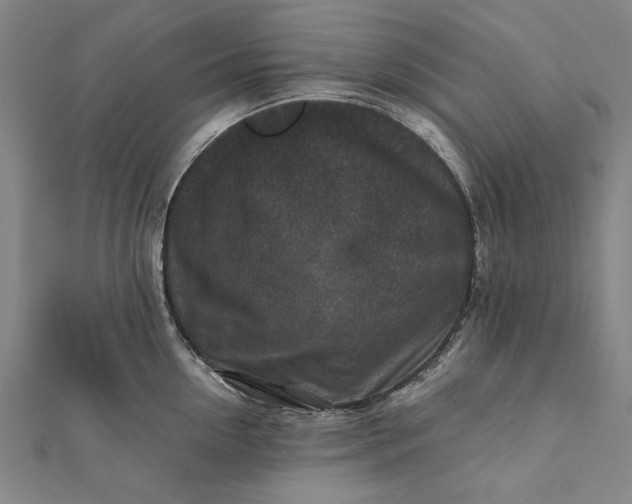 X0000112170954200908211423