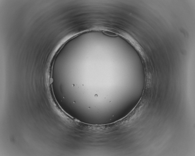 X0000112170955200908211423