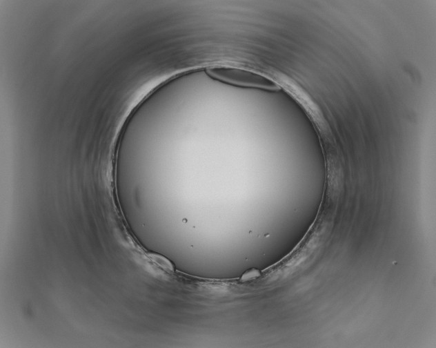 X0000112170956200908211423