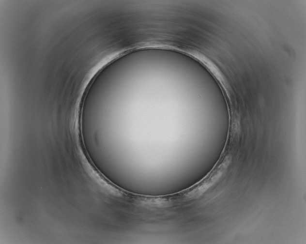 X0000112170957200908211423