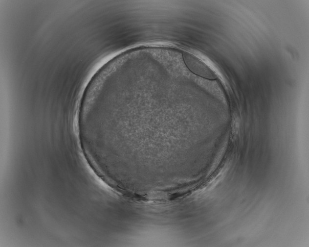 X0000112170959200908211423