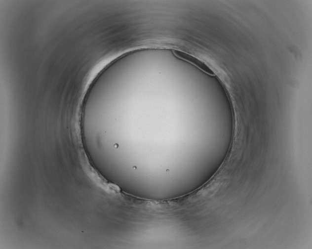 X0000112170960200908211423