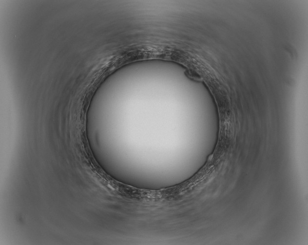 X0000112170961200908211423