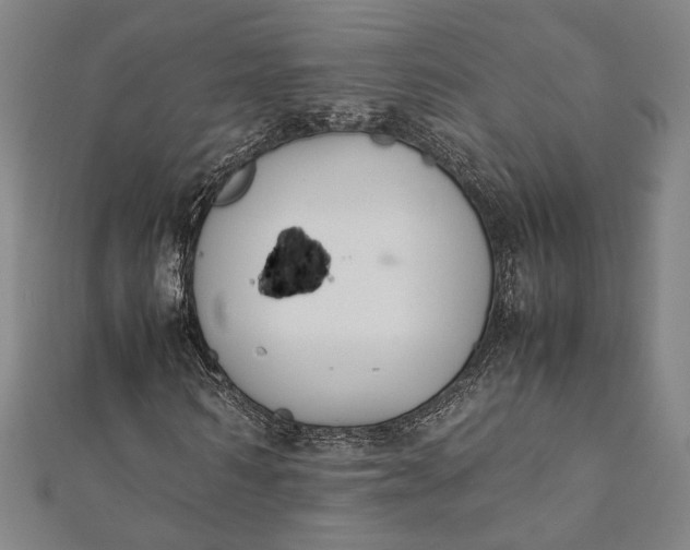 X0000112170962200908211422