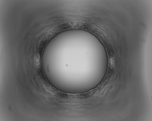 X0000112170963200908211422