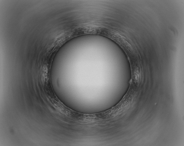 X0000112170964200908211422