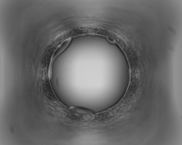 X0000112170965200908211422