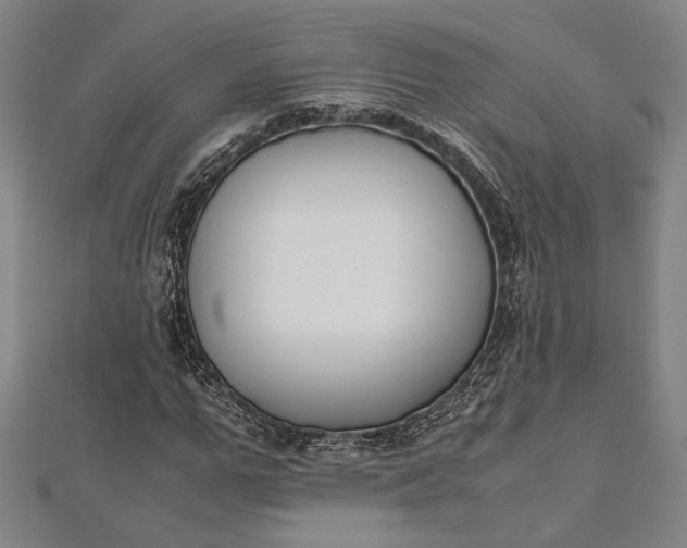 X0000112170967200908211422