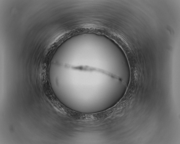 X0000112170968200908211422