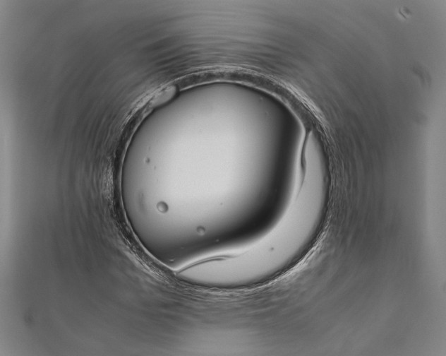 X0000112170969200908211422