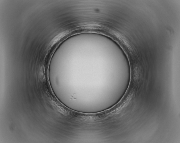 X0000112170970200908211422