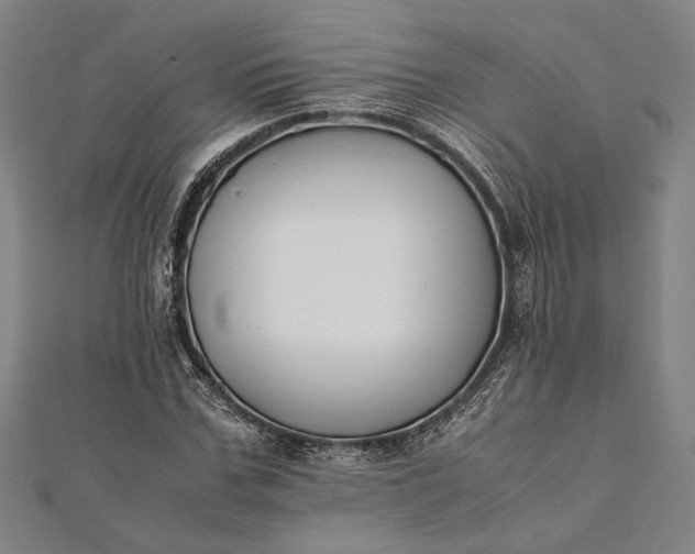 X0000112170971200908211422