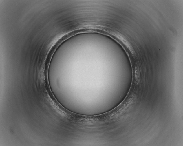 X0000112170972200908211422