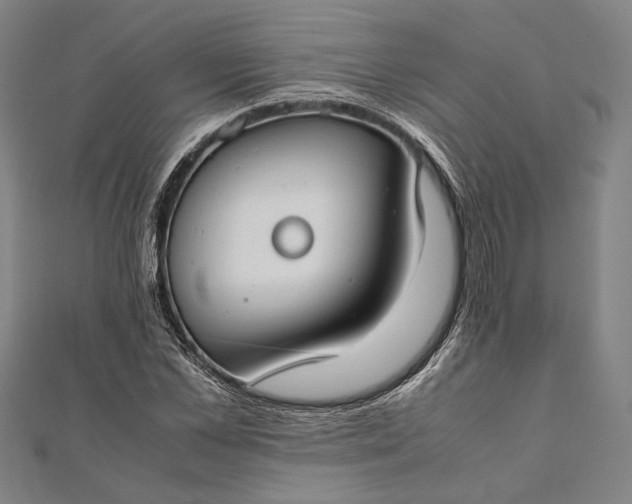 X0000112170973200908211422