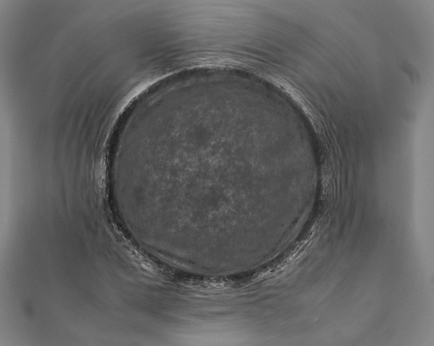 X0000112170975200908211422