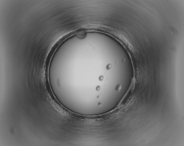 X0000112170976200908211422