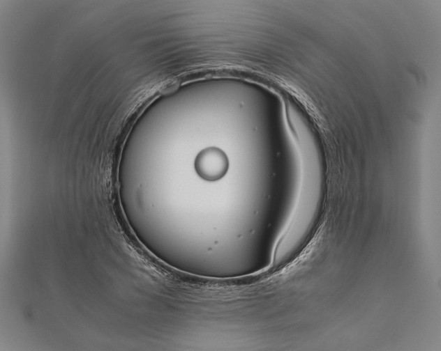 X0000112170977200908211422