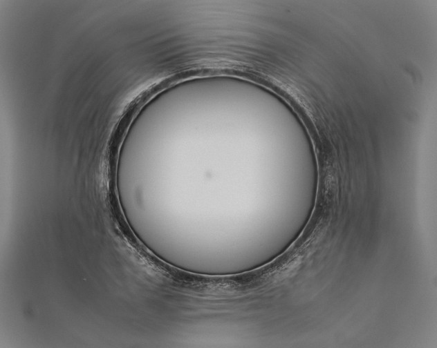 X0000112170979200908211422