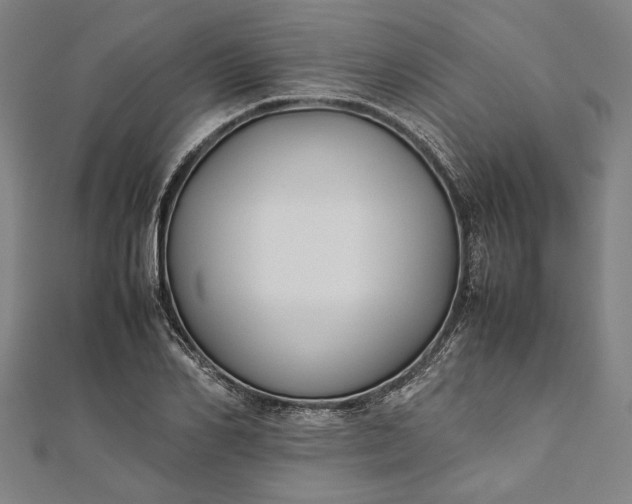 X0000112170982200908211422