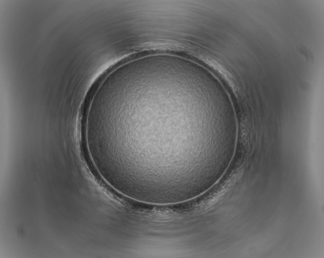 X0000112170983200908211422