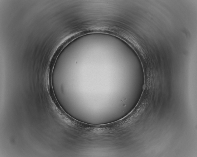 X0000112170984200908211422