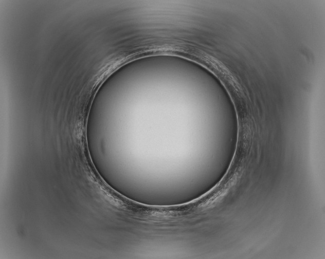 X0000112170985200908211422