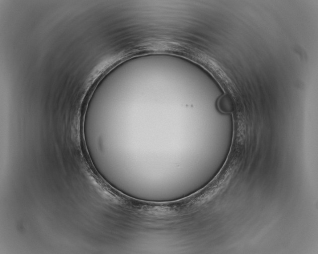 X0000112170986200908211422