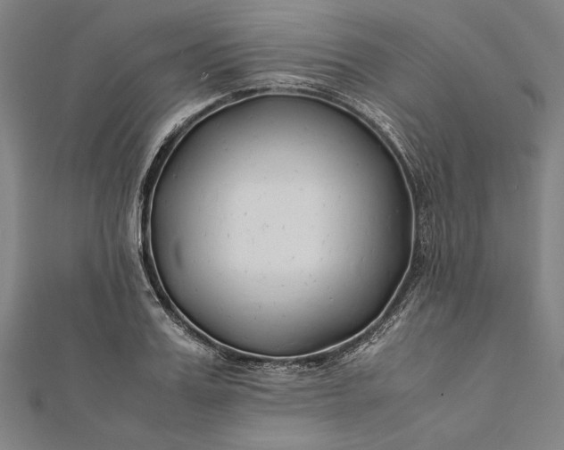 X0000112170987200908211422