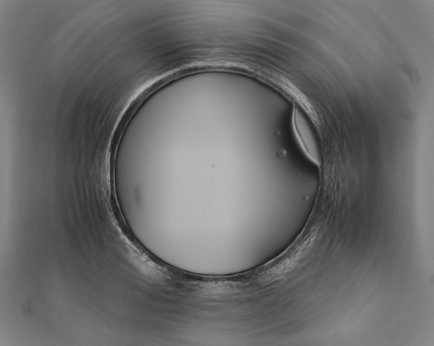 X0000112170988200908211422