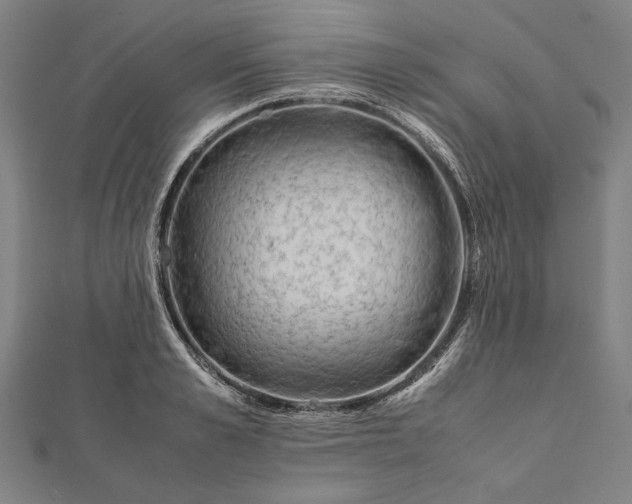 X0000112170989200908211422