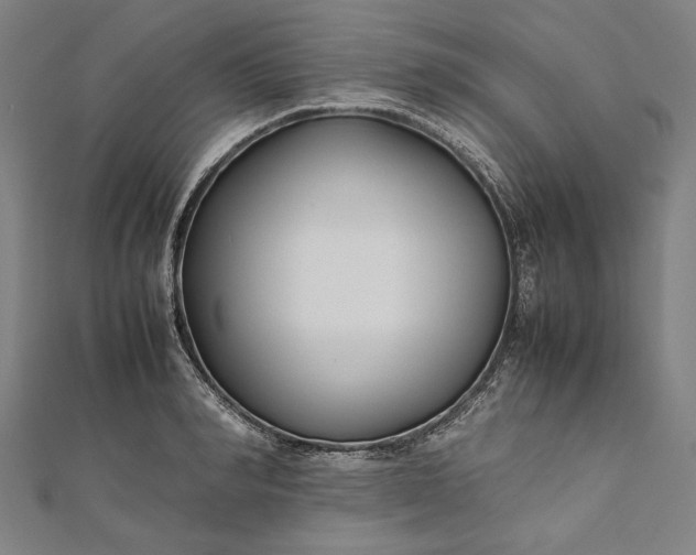 X0000112170990200908211422